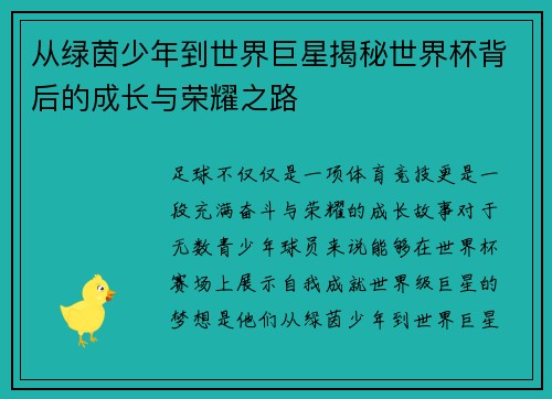 从绿茵少年到世界巨星揭秘世界杯背后的成长与荣耀之路